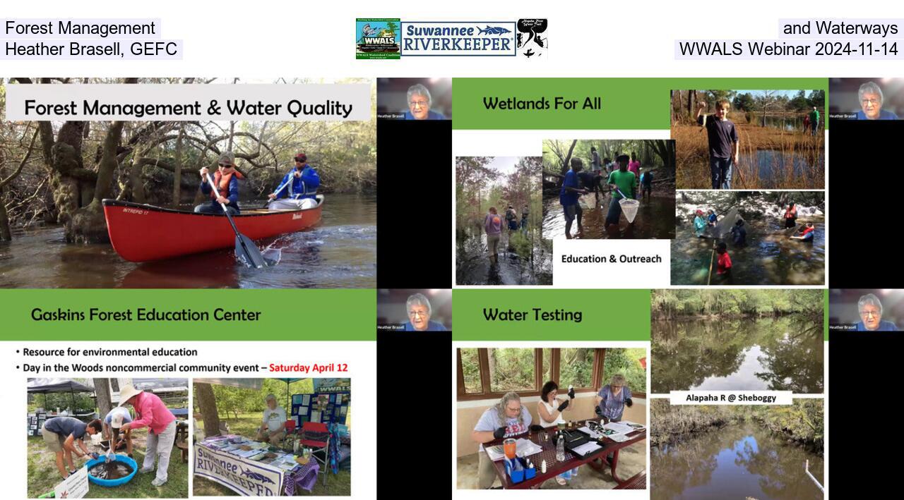 Forest Management and Waterways, Heather Brasell, GEFC, WWALS Webinar 2024-11-14