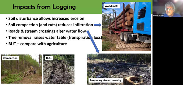 Impacts from Logging