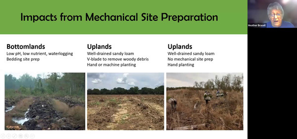 Impacts from Mechanical Site Preparation