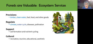 [Forest Ecosystem Services]