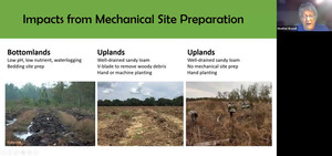 [Impacts from Mechanical Site Preparation]