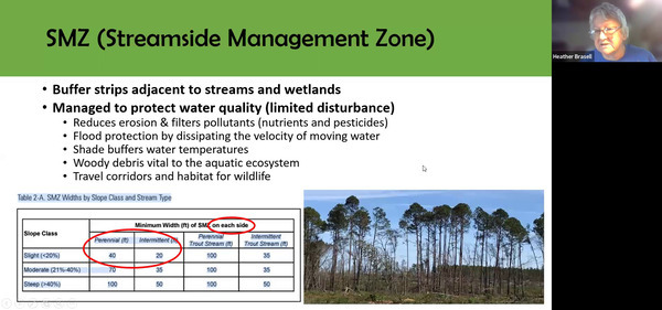 SMZ (Streamside Management Zone)