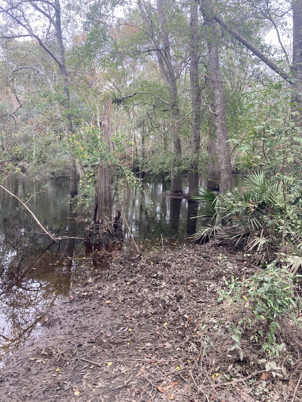 [Staten Road, Withlacoochee River @ Staten Road 2024-11-14]