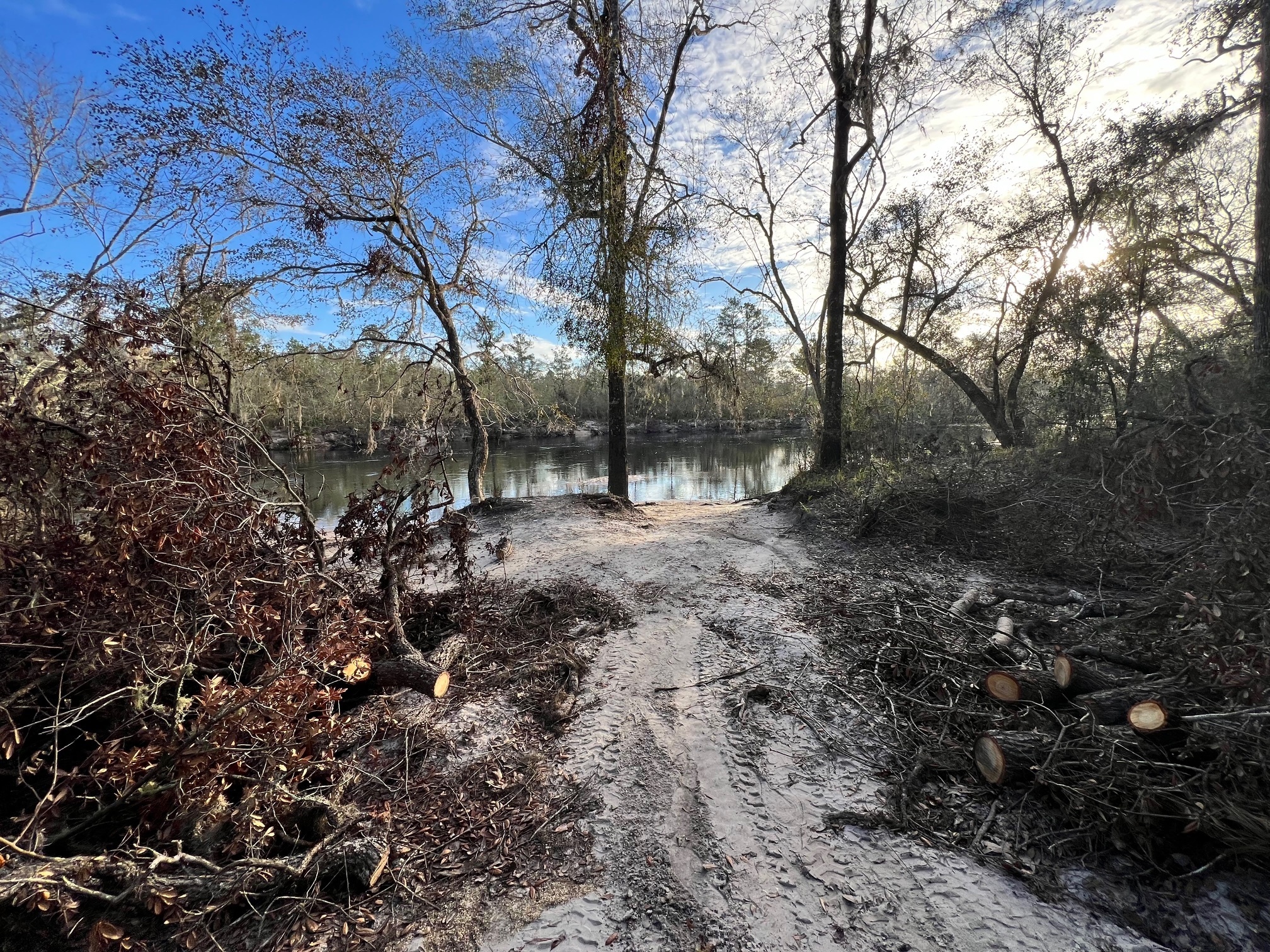 Naylor Park Beach, Alapaha River @ US 84 2024-11-13