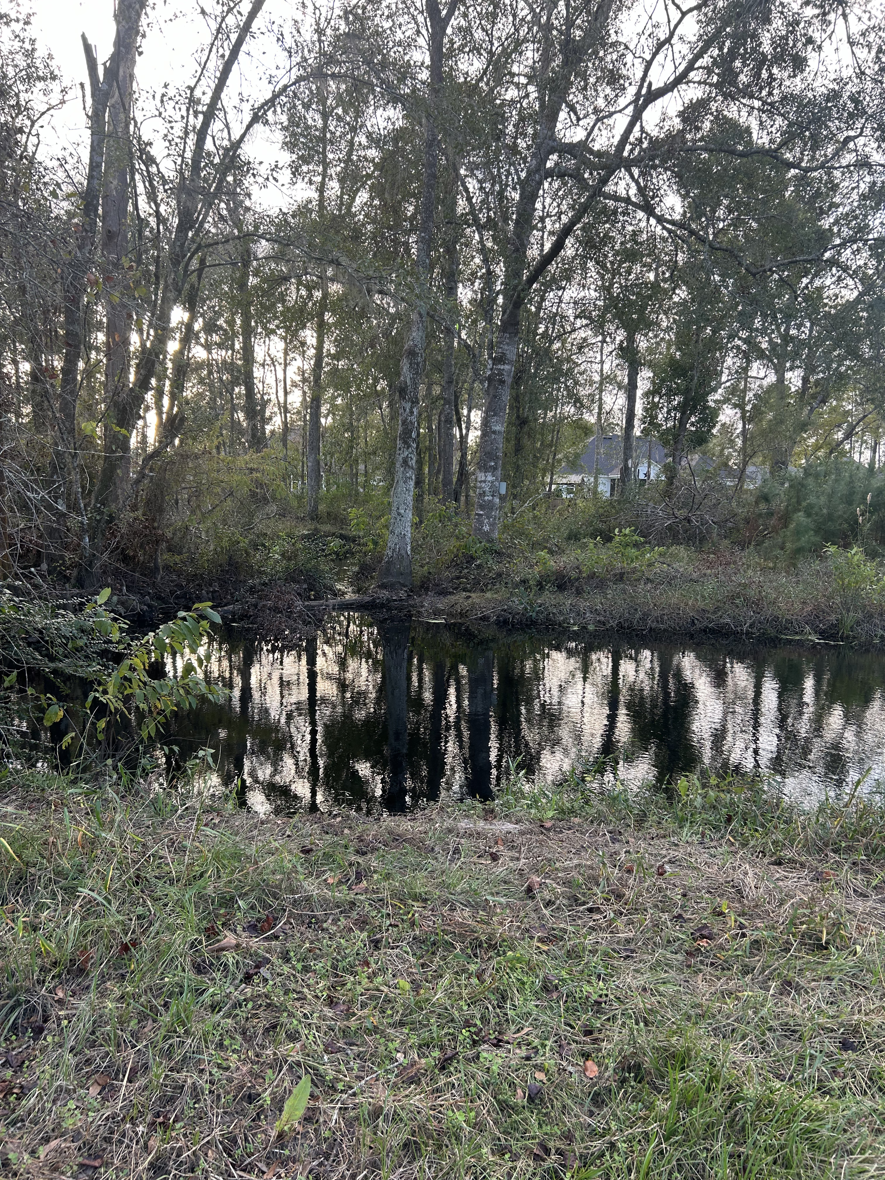 Franks Creek @ GA 122 downstream, Franks Creek @ GA 122 2024-11-14