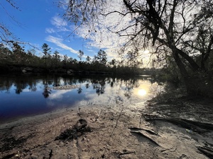 [Naylor Park Beach upstream, Alapaha River @ US 84 2024-11-13]