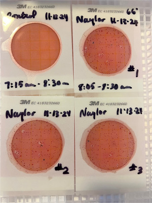 [Plates, Naylor Park Beach, Alapaha River @ US 84 2024-11-13]