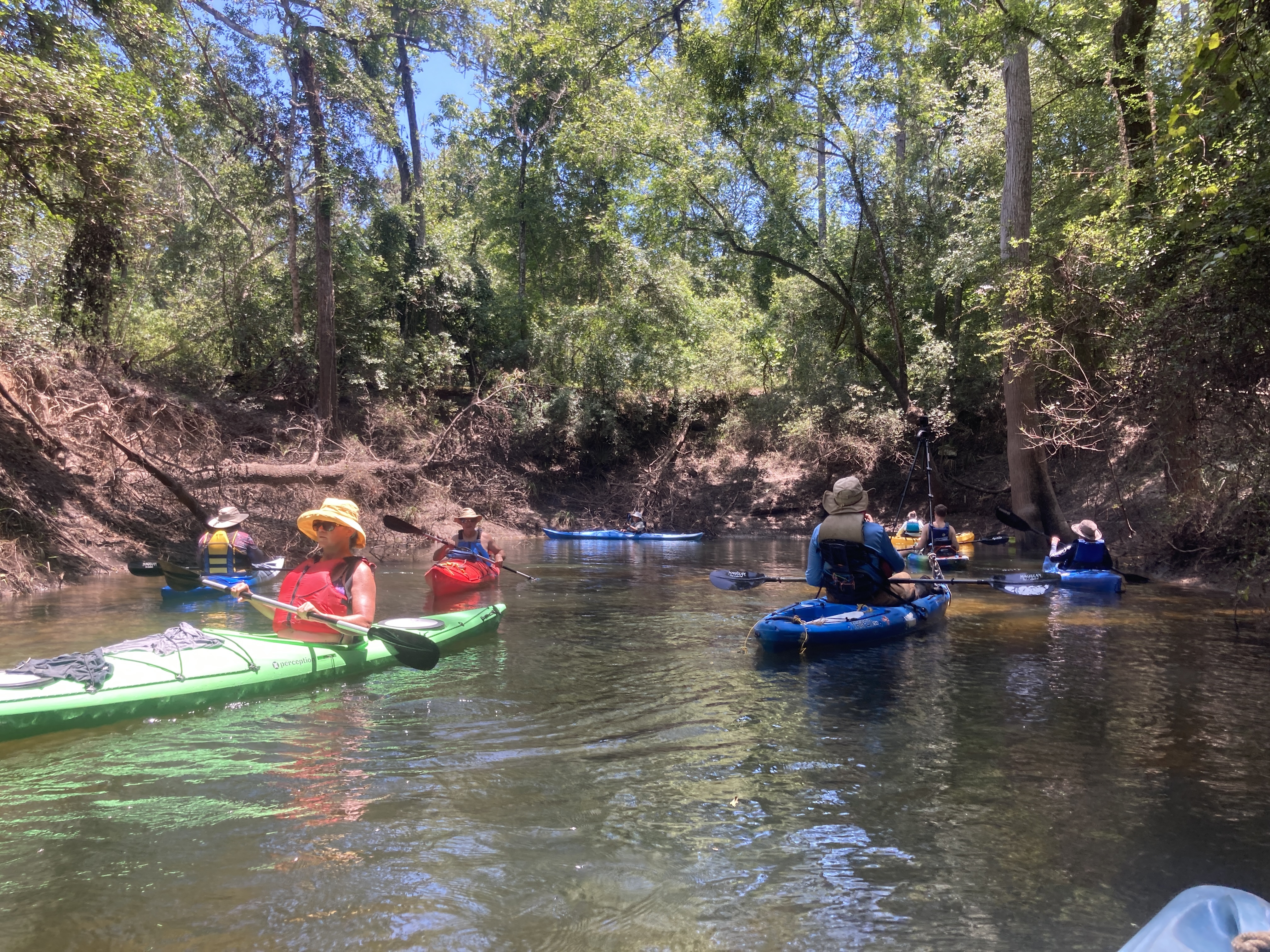 Alapaha River Rise