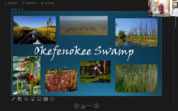 Okefenokee Swamp