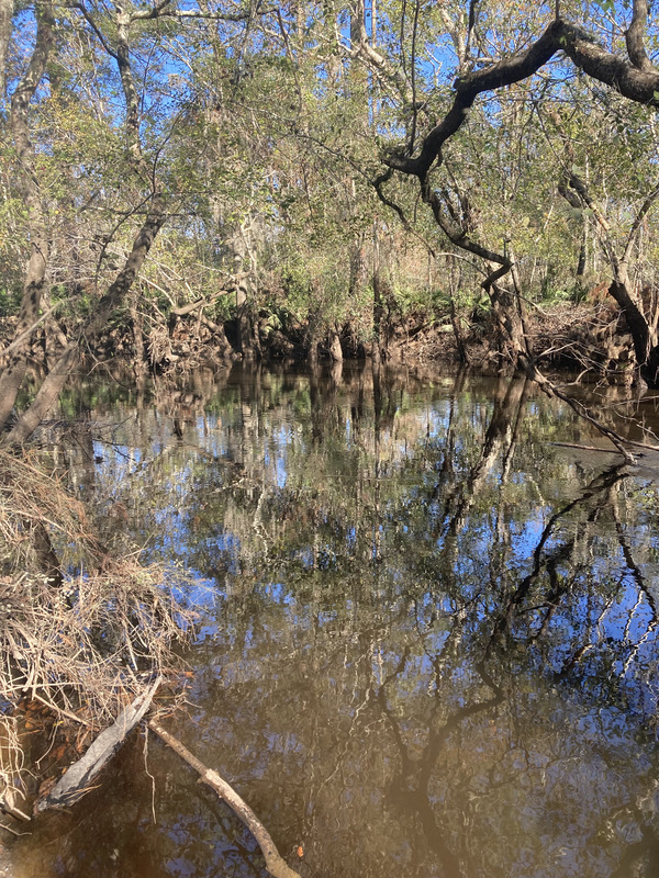 Staten Road downstream, Withlacoochee River @ Staten Road 2024-11-21