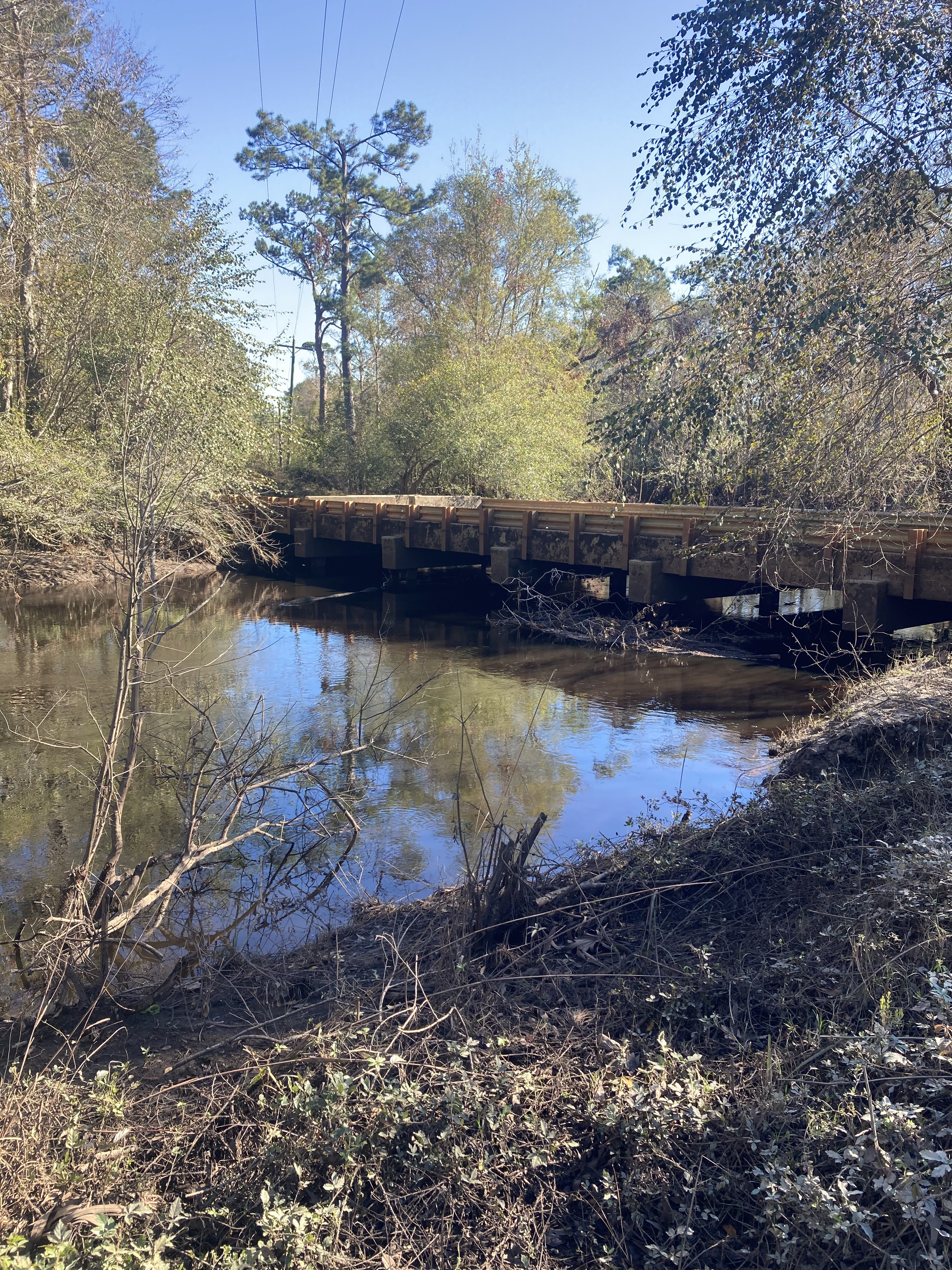 Tyler Bridge, Franklinville, Withlacoochee River @ Frankinville Road 2024-11-21