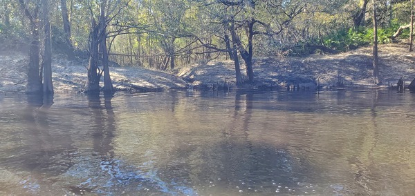 [Unknown Creek, right bank, 14:00:50, 30.8339637, -83.3766968]