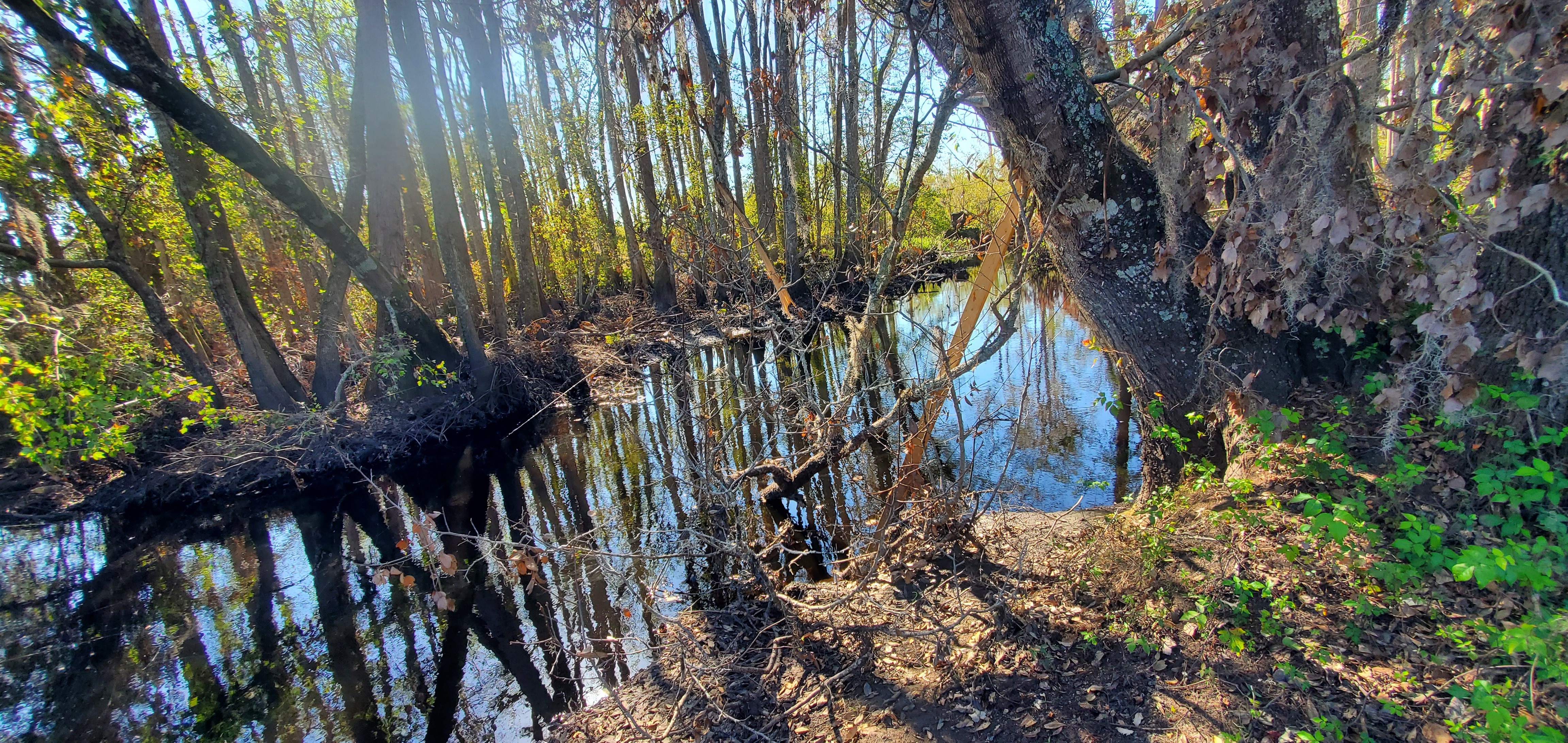 Upstream, Inner Perimeter Road (US 41), board broke, 2024:10:29 15:17:16, 30.8049723, -83.2354256