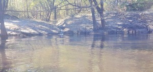 [Unknown Creek again, 14:00:53, 30.8339637, -83.3766968]