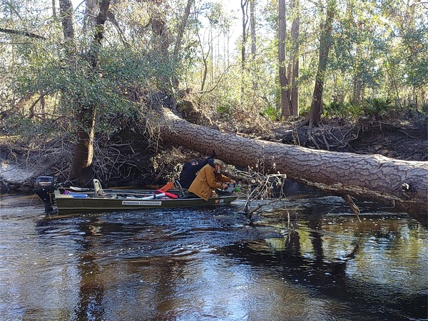 Sawing another limb off the small log --Phil Royce, 10:16:38, 30.8447282, -83.34745