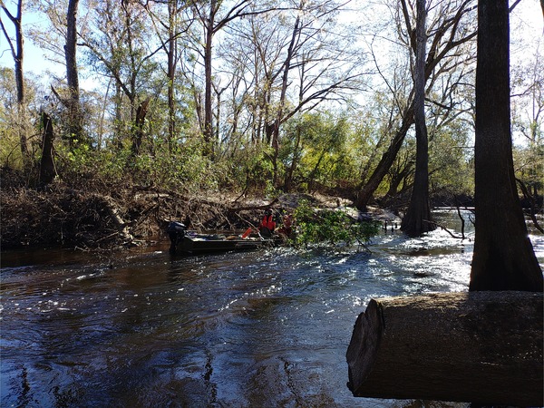 Saw off a small limb --Phil Royce, 10:45:07, 30.8447282, -83.34745