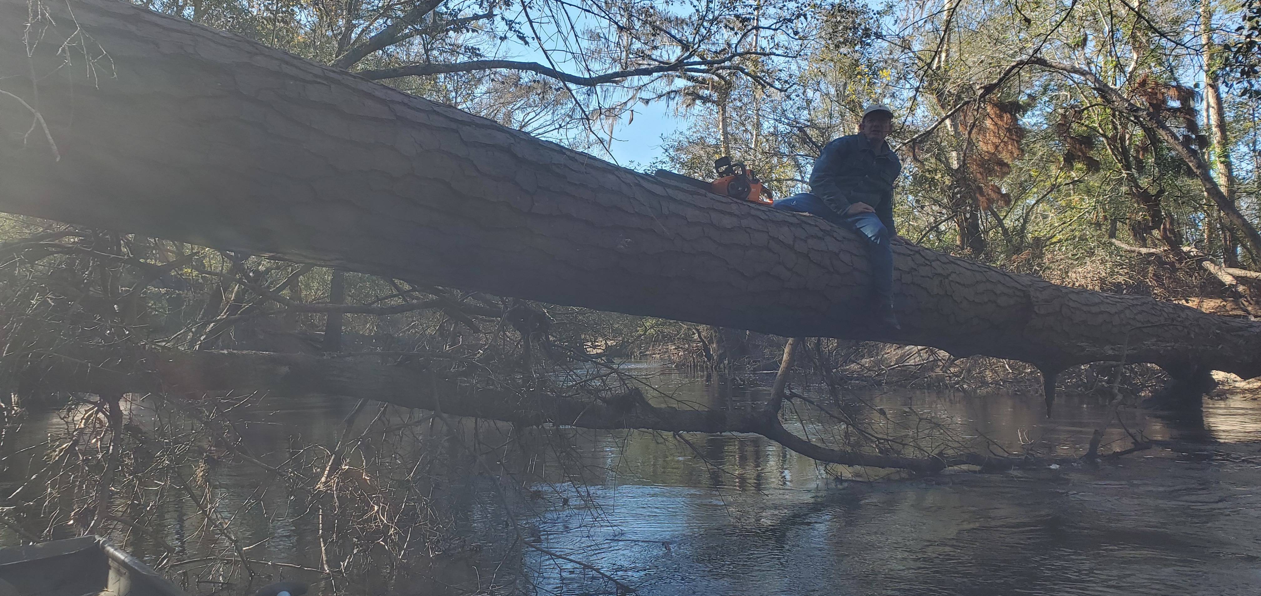 Phil Royce on a big log, 10:09:22, 30.8457361, -83.3470742