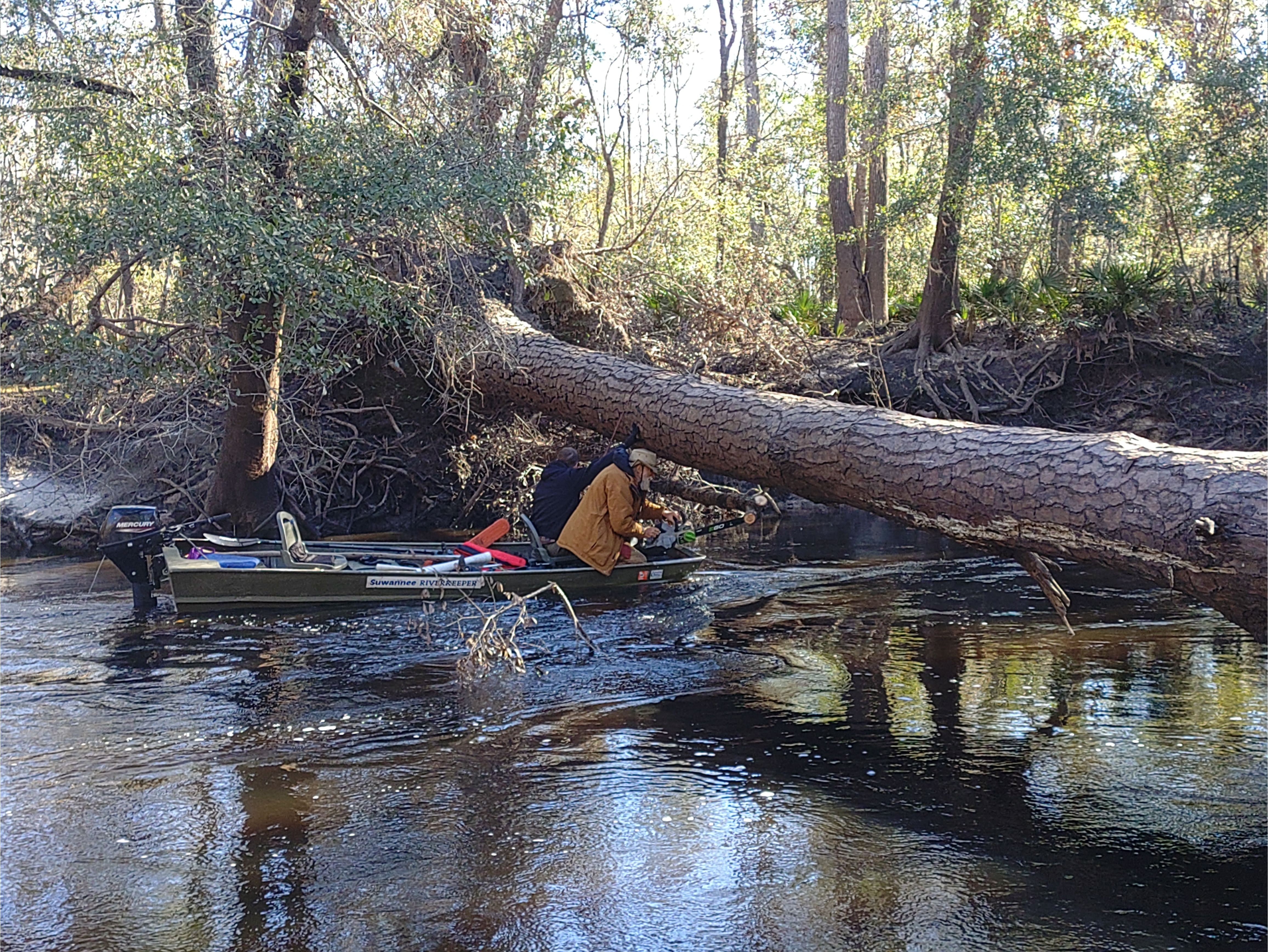 Got that limb --Phil Royce, 10:16:39, 30.8447282, -83.34745