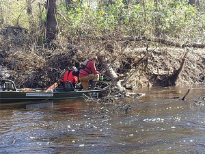 [jsq sawing under the main log --Phil Royce, 10:58:28, 30.8447282, -83.34745]