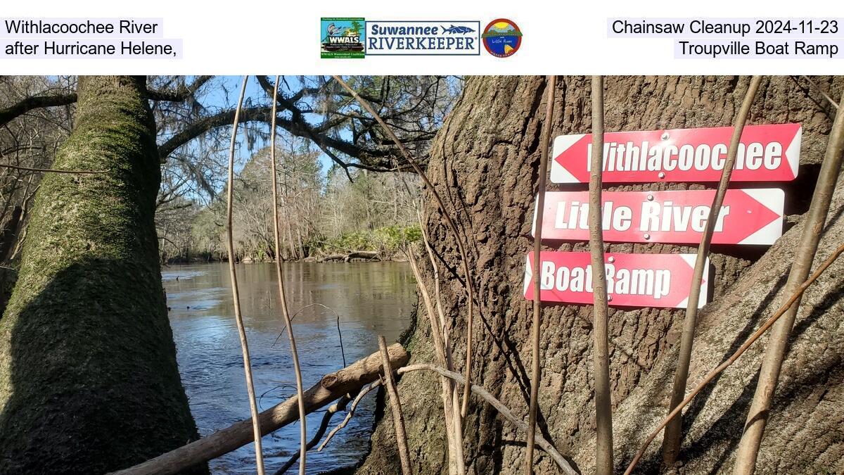 Withlacoochee River Chainsaw Cleanup 2024-11-23, after Hurricane Helene, Troupville Boat Ramp