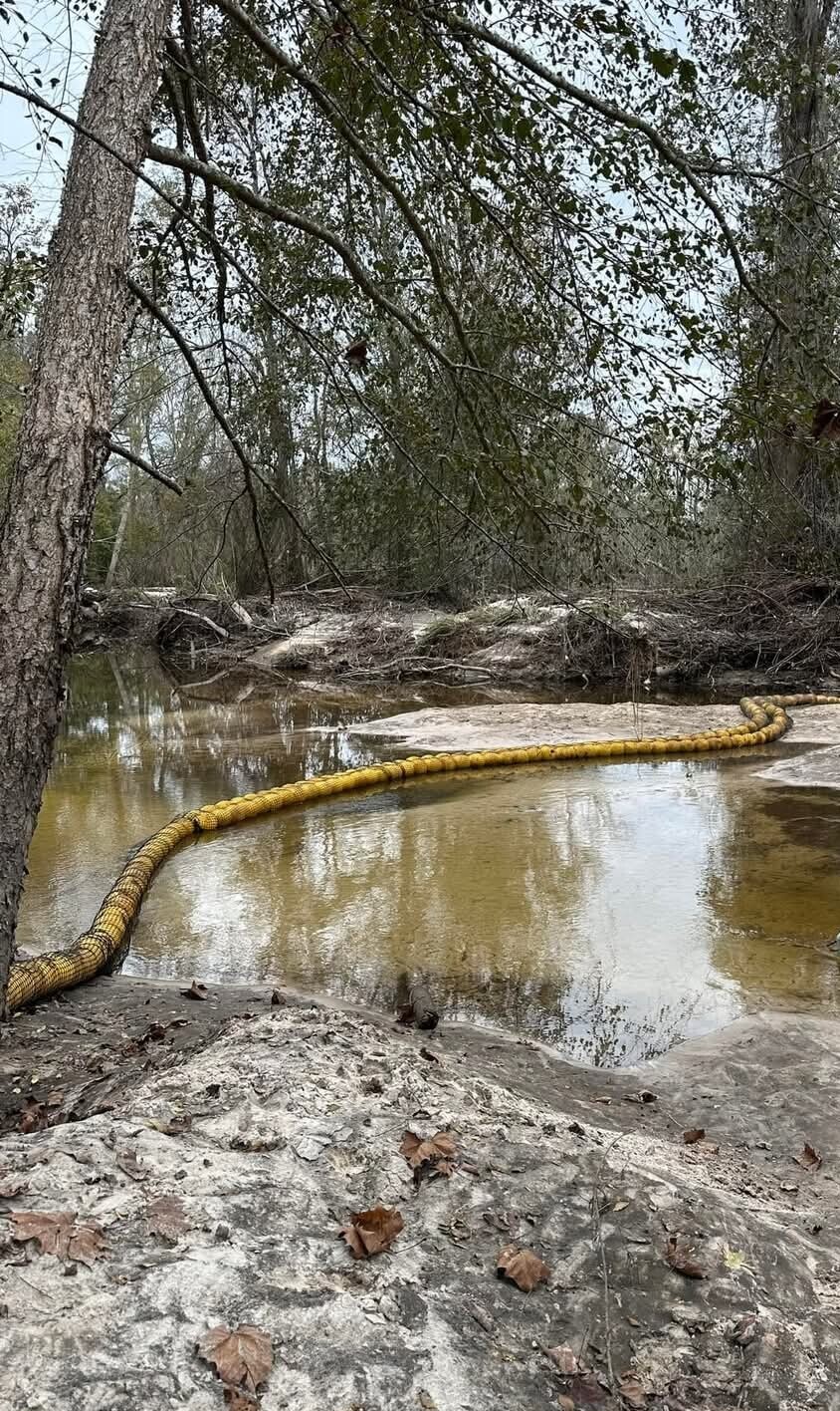 [Sugar Creek, Withlacoochee River 2024-11-23]