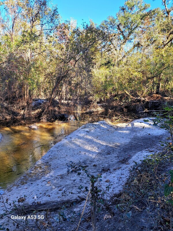 [Upstream, Sugar Creek 2024-11-30]