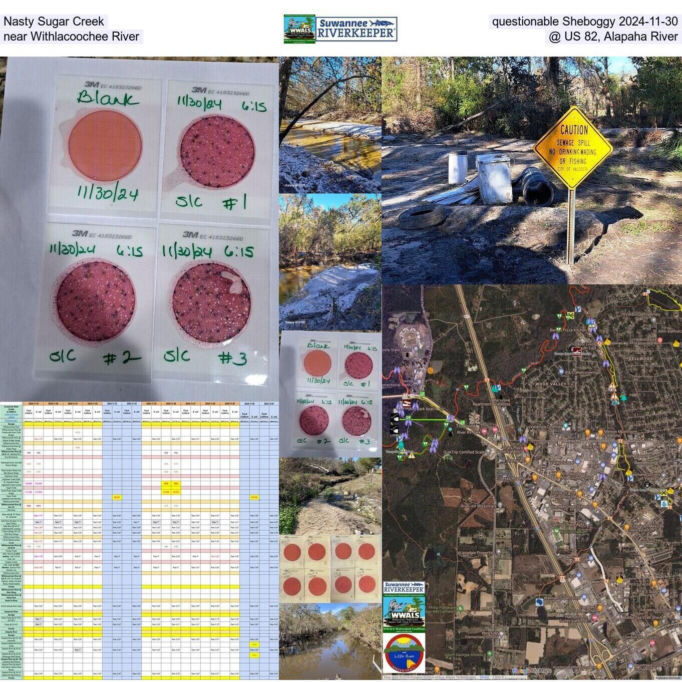 Nasty Sugar Creek near Withlacoochee River Questionable Sheboggy @ US 82, Alapaha River 2024-11-30