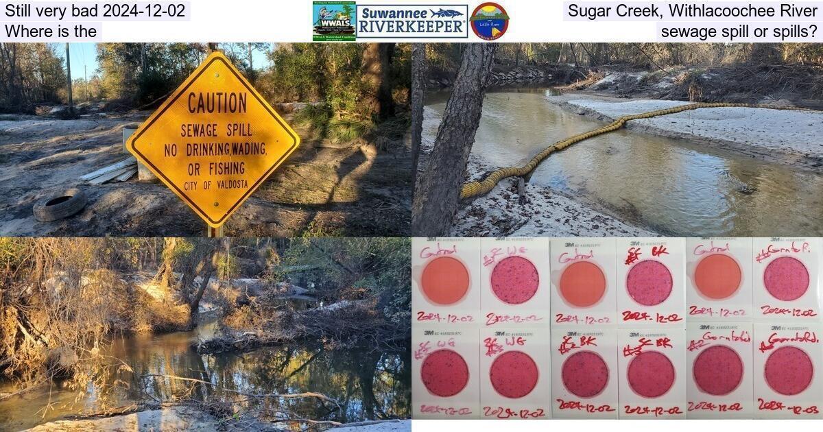 Still very bad 2024-12-02, Sugar Creek, Withlacoochee River, Where is the sewage spill or spills?