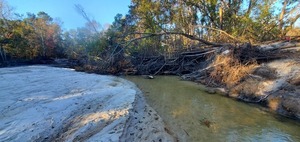 [Context, Sugar Creek in front of Berta's Kitchen 2024-12-02]