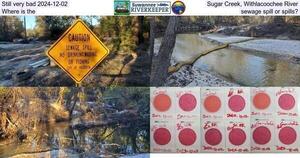 [Still very bad 2024-12-02, Sugar Creek, Withlacoochee River, Where is the sewage spill or spills?]