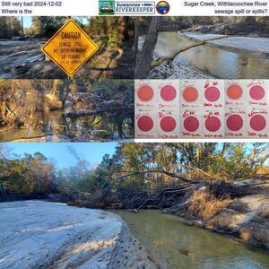 [Still very bad 2024-12-02, Sugar Creek, Withlacoochee River, Where is the sewage spill or spills?]