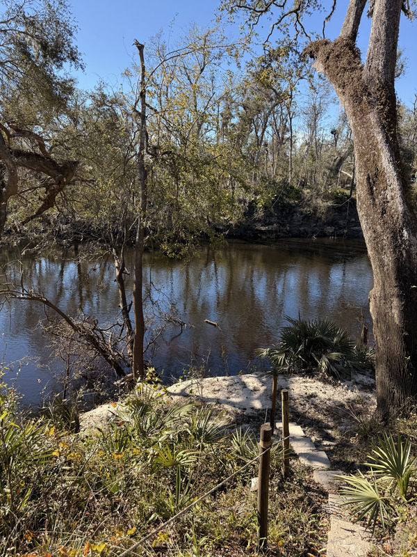 Holly Point other, Withlacoochee River @ NE Withla Bluffs Way 2024-12-05