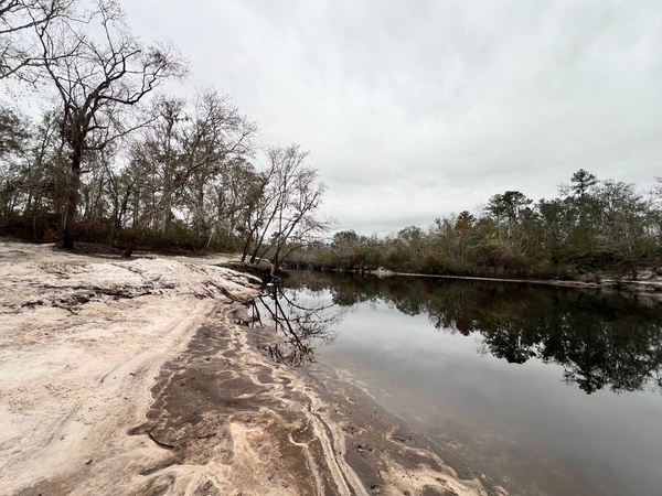 Naylor Park Beach downstream, Alapaha River @ US 84 2024-12-05