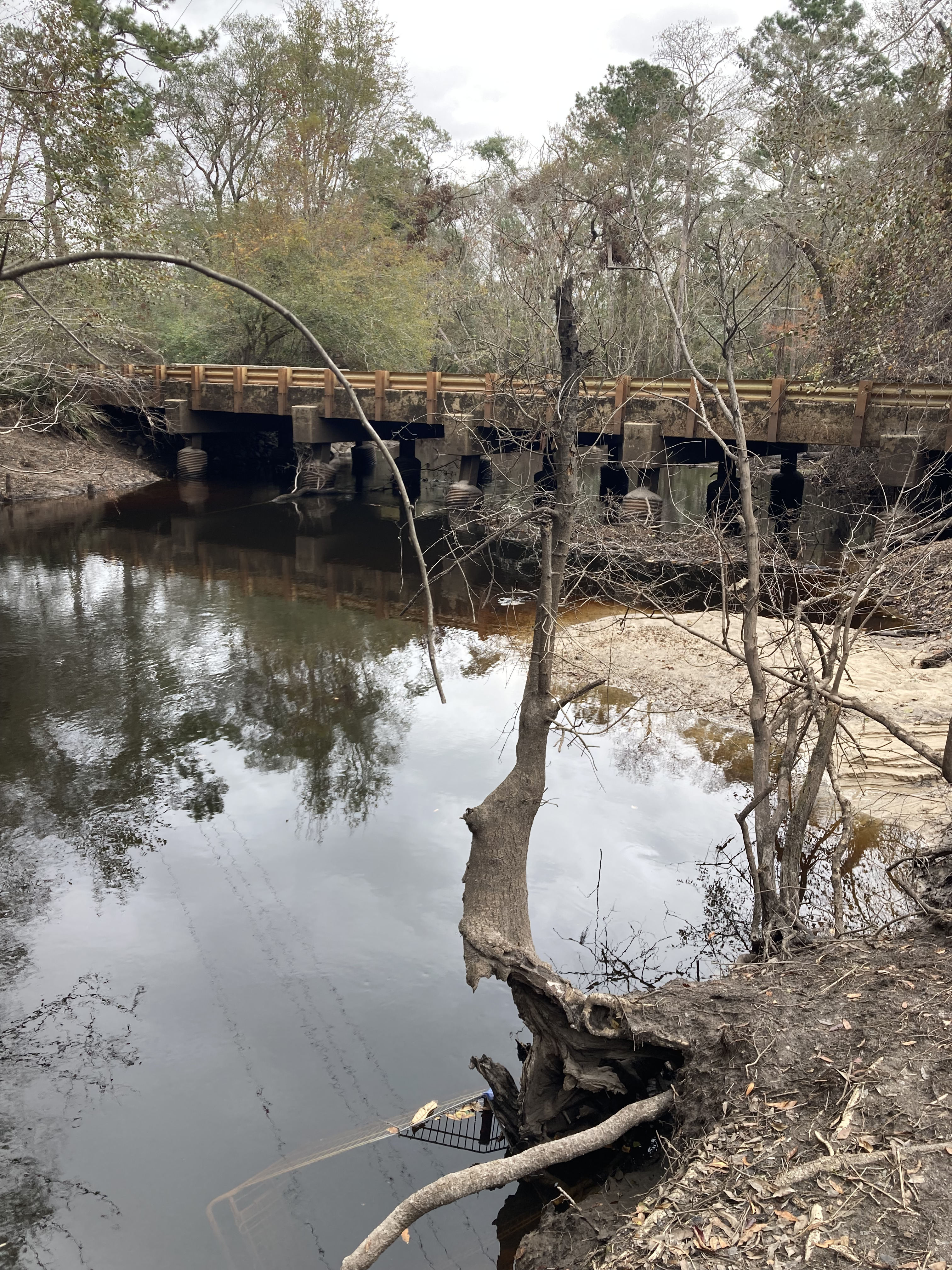 Tyler Bridge, Franklinville, Withlacoochee River @ Frankinville Road 2024-12-05