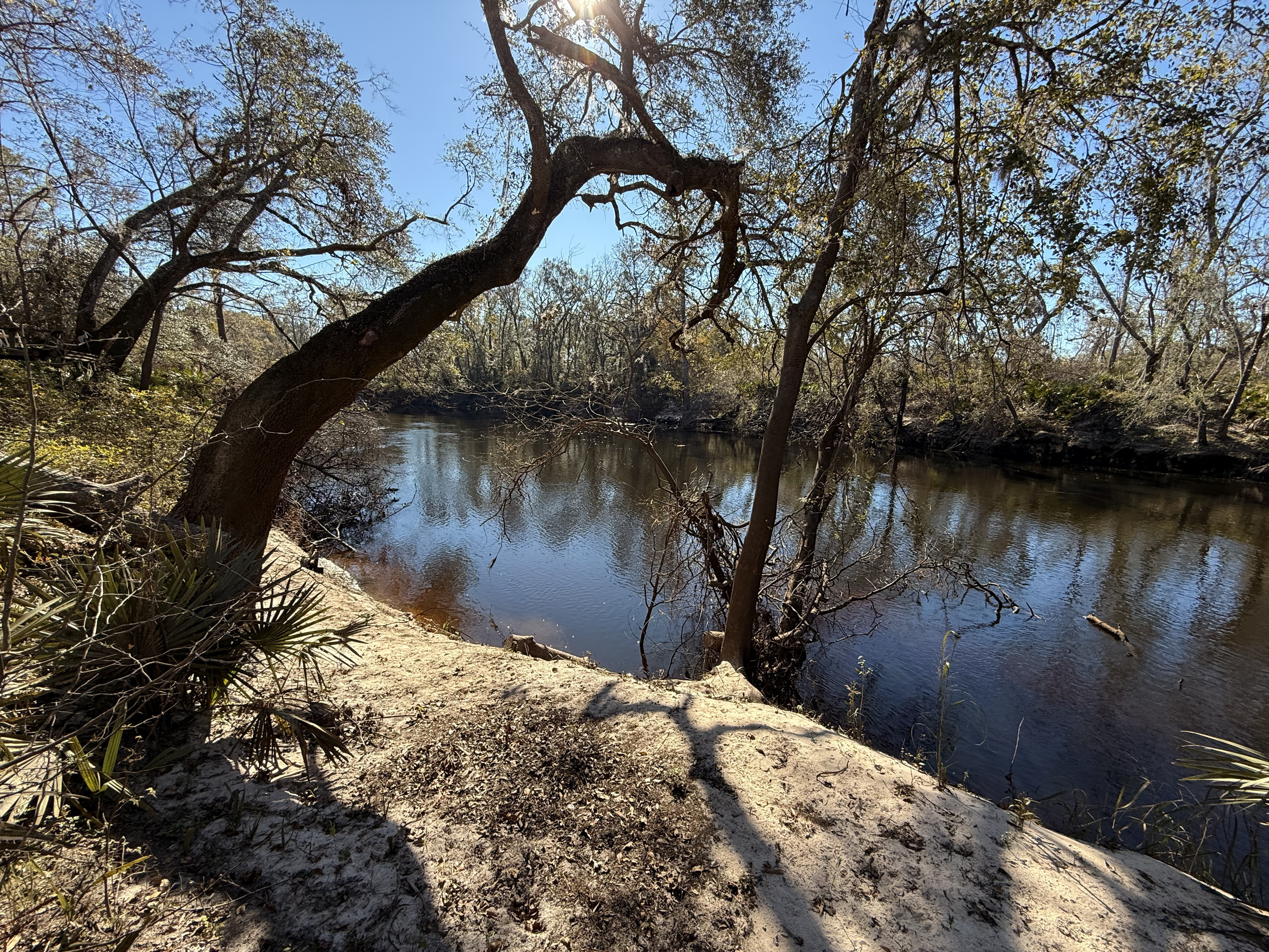 Holly Point, Withlacoochee River @ NE Withla Bluffs Way 2024-12-05