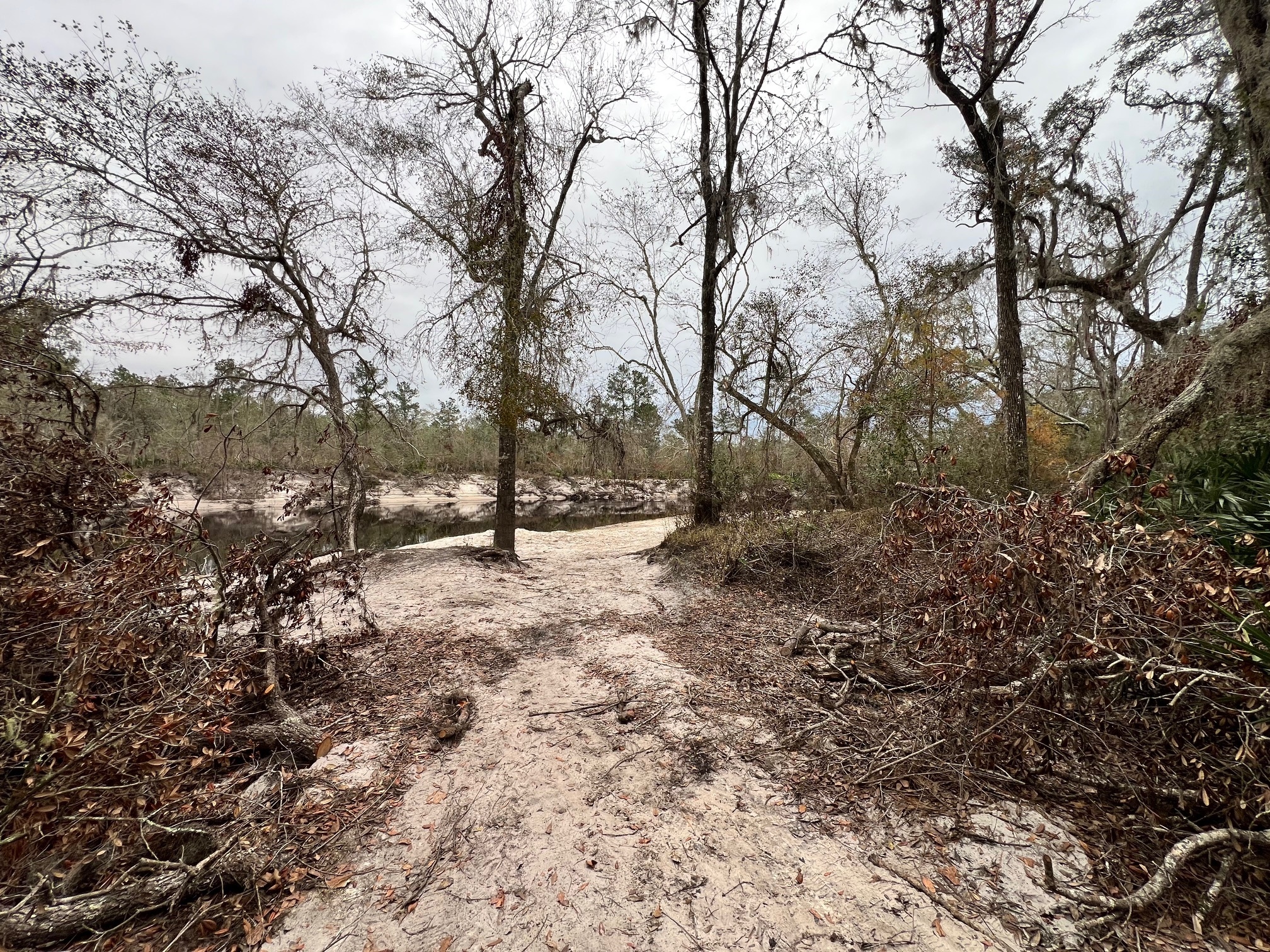 Naylor Park Beach, Alapaha River @ US 84 2024-12-05