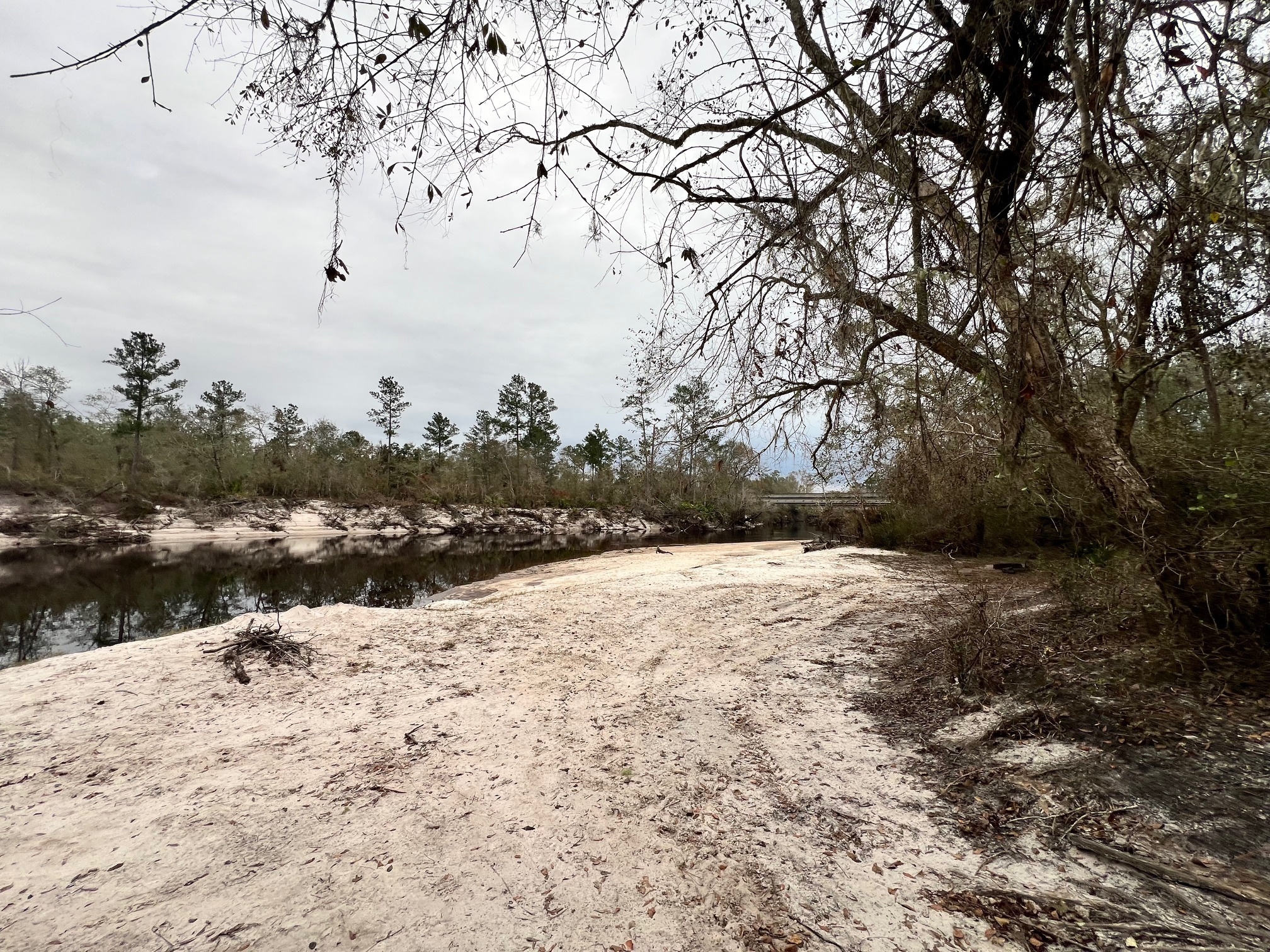 Naylor Park Beach upstream, Alapaha River @ US 84 2024-12-05