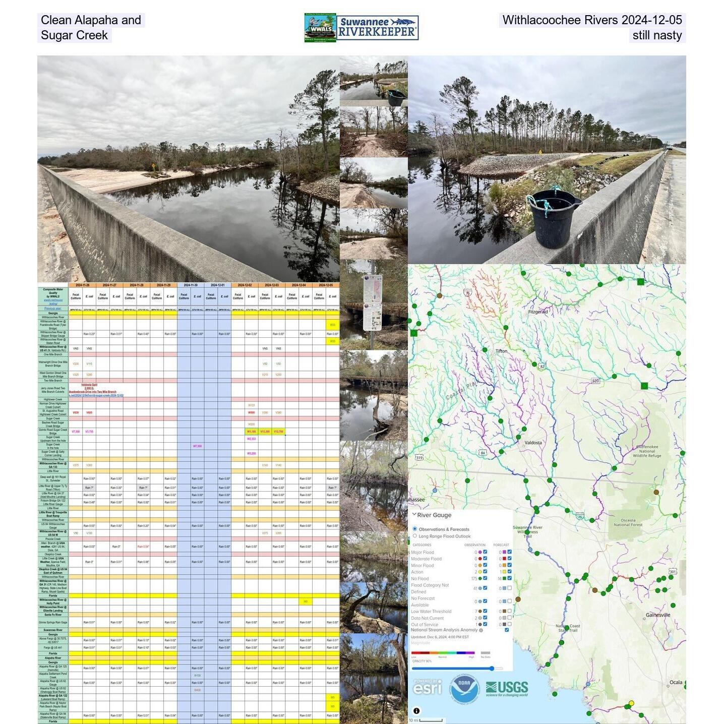 Clean Alapaha and Withlacoochee Rivers 2024-12-05 Sugar Creek still nasty