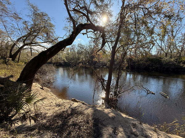 Holly Point Other, Withlacoochee River 2024-12-11, 14:36:32, 30.4137583, -83.2069167