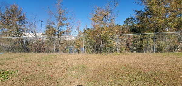 Context, Cattle egret in Home Depot retention pond, 2024-12-12, 12:04:16, 30.8433158, -83.3144739