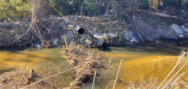 [Drainpipe, logjam, and trash on bank, Sugar Creek 2024-12-12, 13:08:26, 30.8508059, -83.3144571]