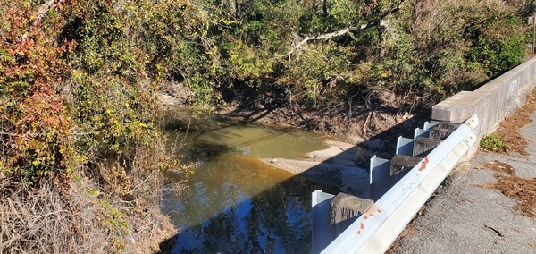 [Sugar Creek at Gornto Road, 2024-12-12, 13:36:04, 30.8597967, -83.3174163]