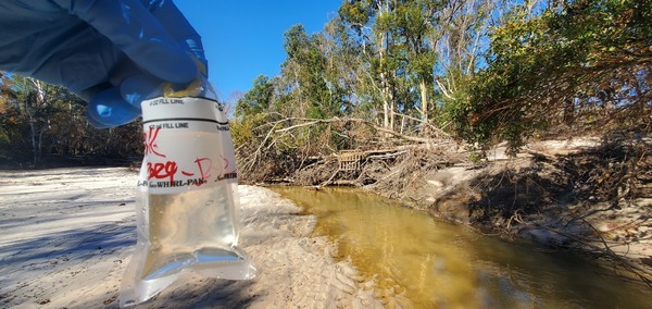 [Downstream, Sugar Creek in front of Berta's Kitchen, 2024-12-12, 13:47:05, 30.8610899, -83.3180020]