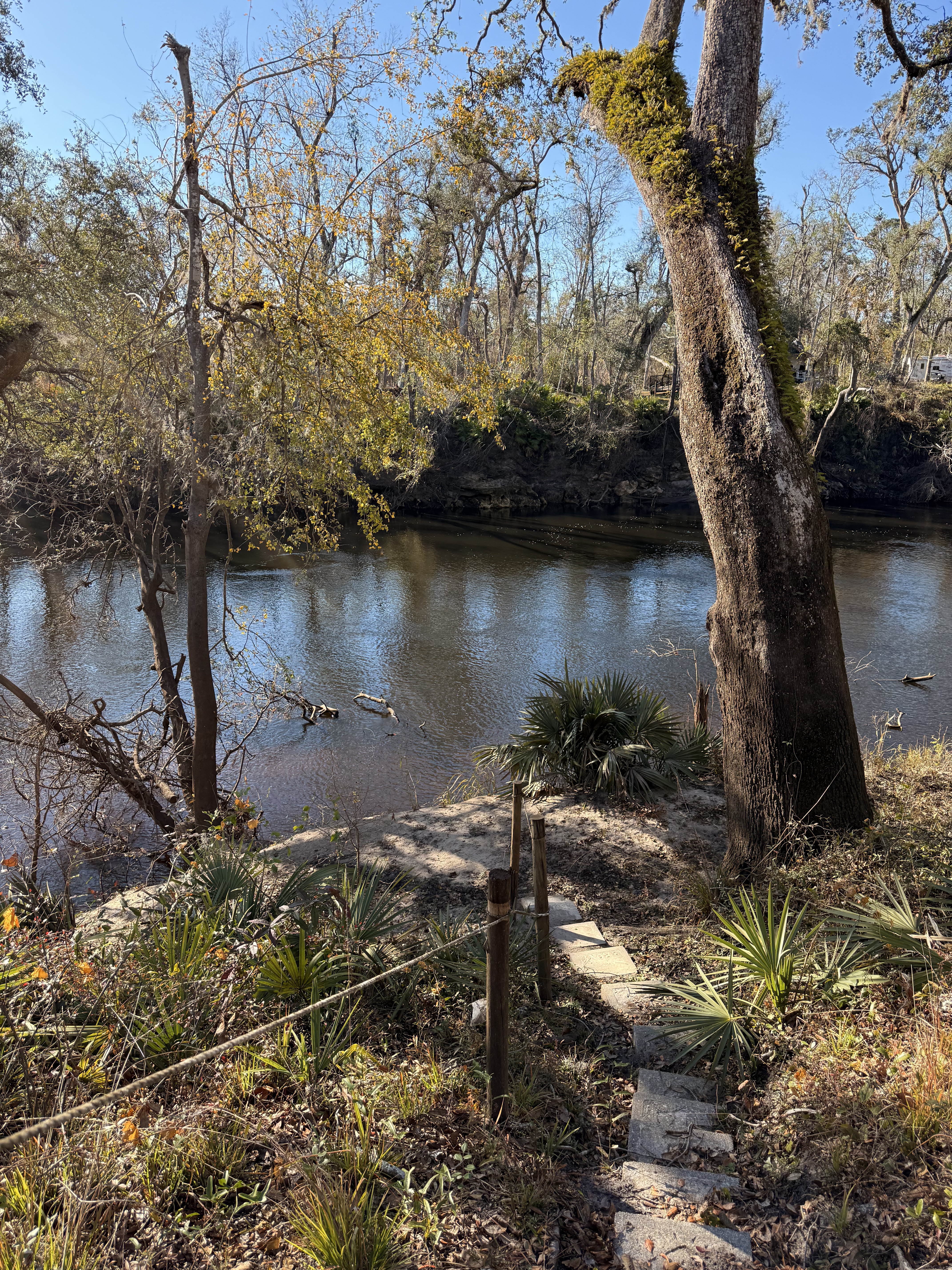 Holly Point, Withlacoochee River 2024-12-11, 14:36:07, 30.4138306, -83.2065722