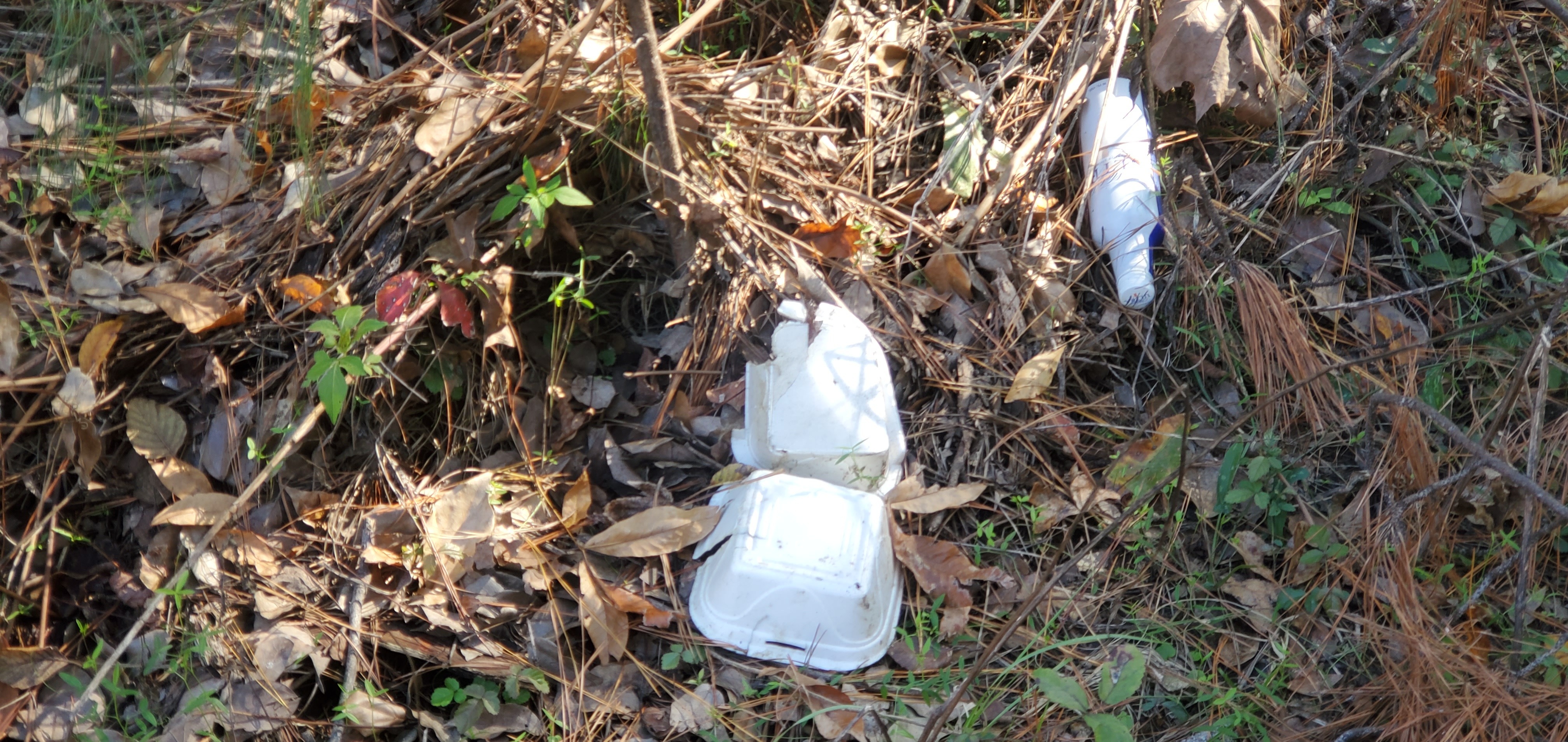 Styrofoam and plastic, Sugar Creek in front of Berta's Kitchen, 2024-12-12, 13:49:32, 30.8612085, -83.3178797