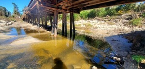 [Downstream (north) Sugar Creek under NSFRR 2024-12-12, 13:03:53, 30.8520267, -83.3147755]