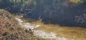 [Drain pipe from left (west) bank, Sugar Creek 2024-12-12, 13:07:13, 30.8513157, -83.3148542]