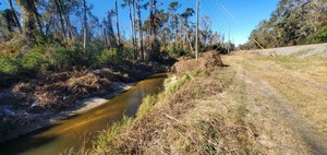 [Looking north downstream, Sugar Creek 2024-12-12, 13:12:41, 30.8487478, -83.3138233]