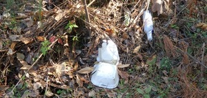 [Styrofoam and plastic, Sugar Creek in front of Berta's Kitchen, 2024-12-12, 13:49:32, 30.8612085, -83.3178797]