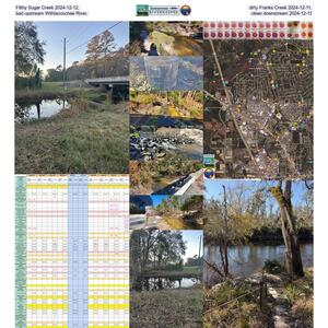 [Filthy Sugar Creek 2024-12-12, dirty Franks Creek 2024-12-11, bad upstream Withlacoochee River, clean downstream 2024-12-11]